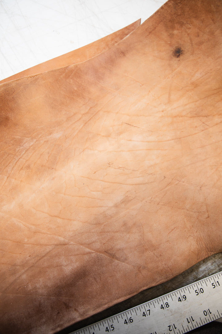 LIMITED RUN - Russet Horsehide Veg Tanned Belt No. 1509