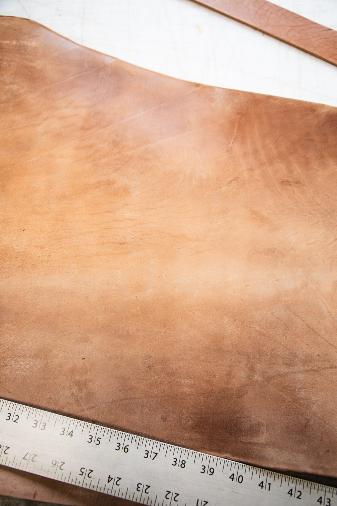 LIMITED RUN - Russet Horsehide Veg Tanned Belt No. 1509