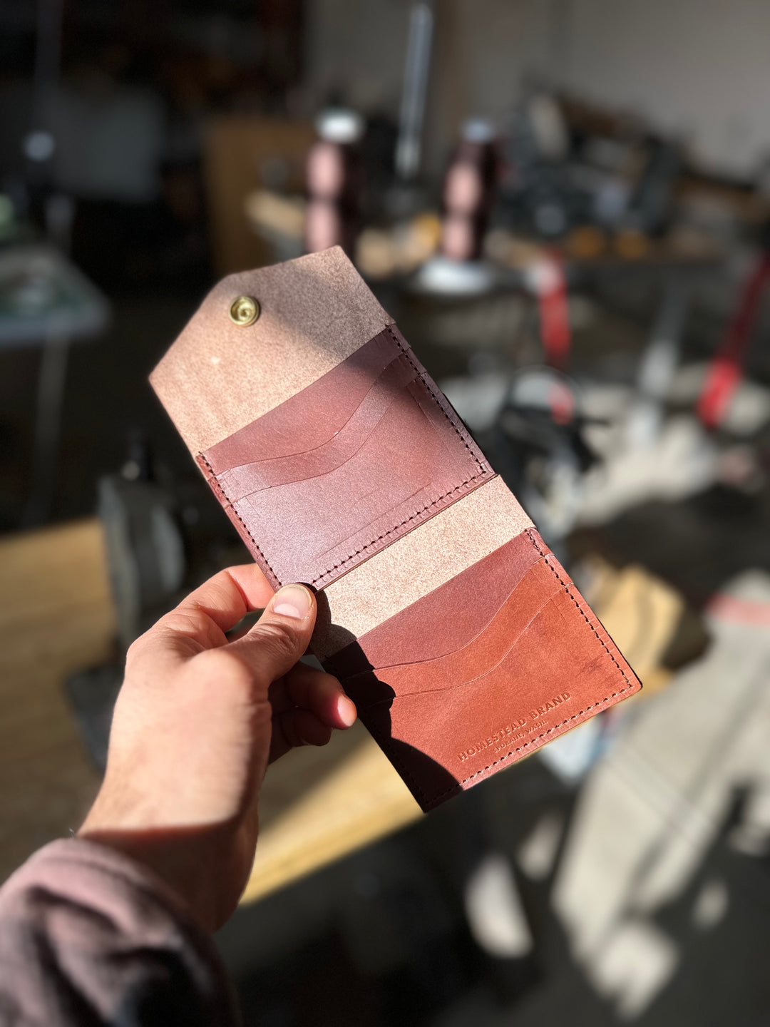Brown Mini Trifold In Hand