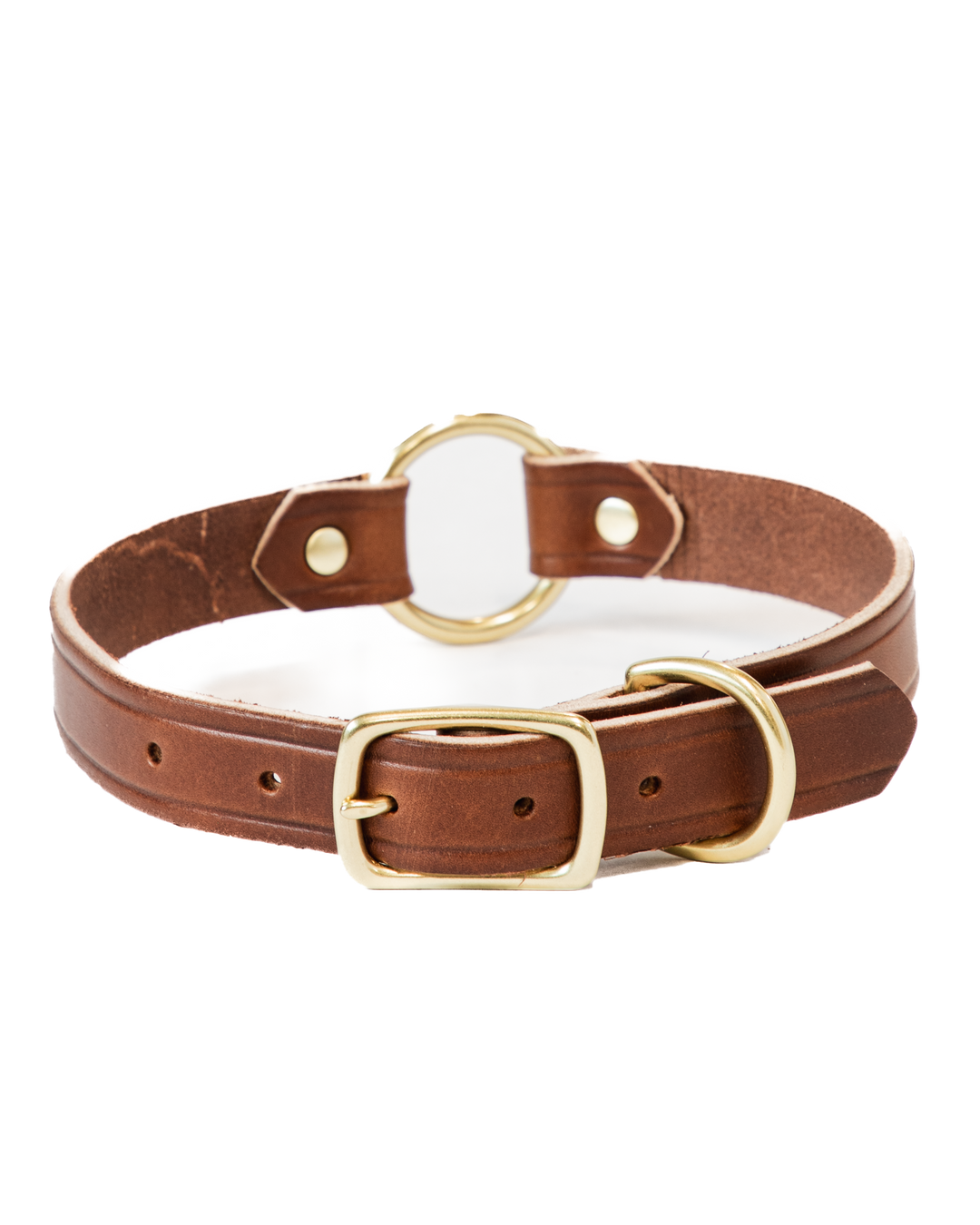 Brown Dog Collar Buckled #color_brown