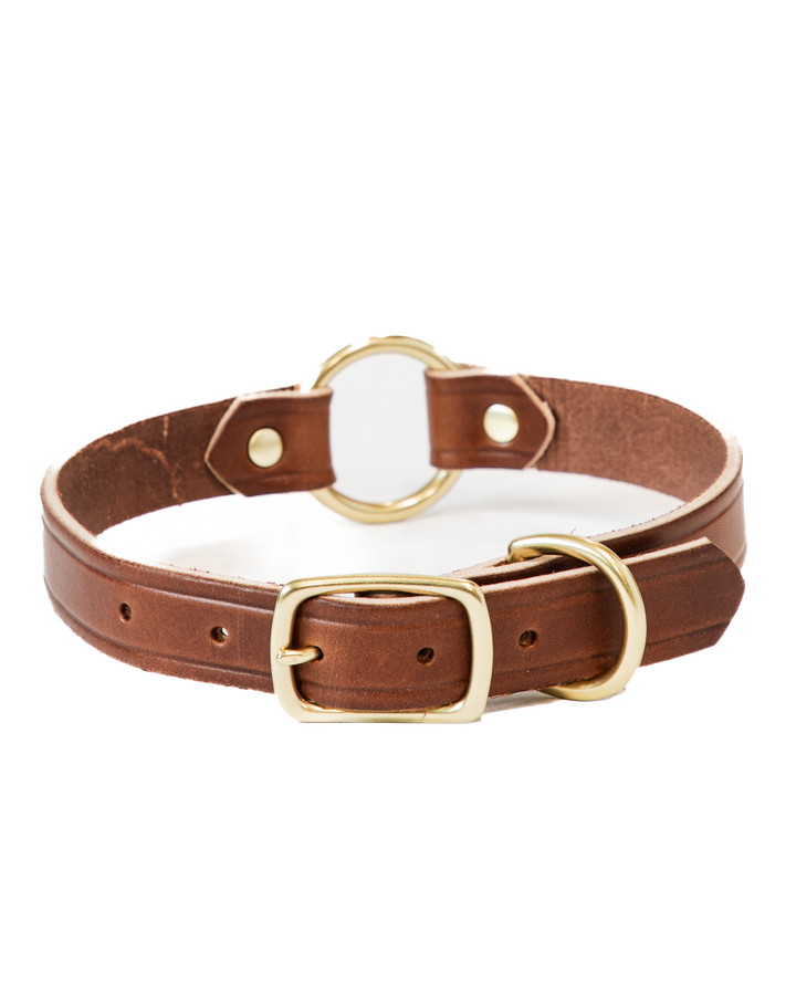 Brown Dog Collar Buckled #color_brown