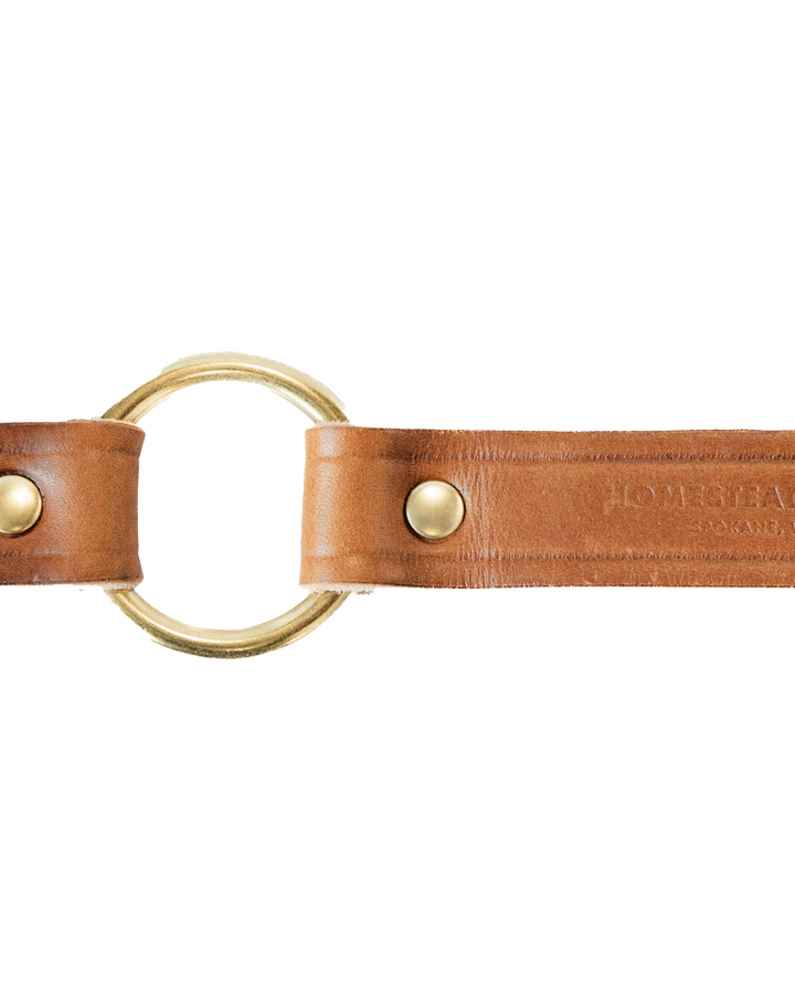 Bourbon Dog Collar Ring Zoomed #color_bourbon