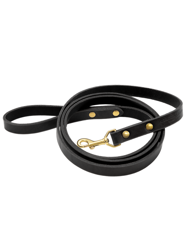 Black leather dog leash with gold hardware on a white background #color_black