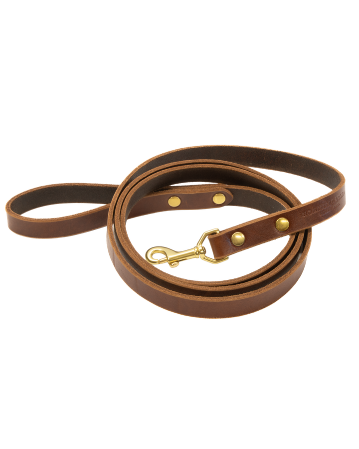 Brown leather dog leash with gold hardware on a white background #color_brown